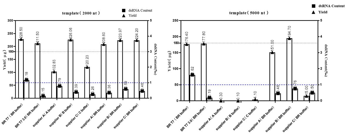 GMP-BP-E11 T7 RNA Polymerase 3.0 GMP-grade (low dsRNA): Figure 1 The result of dsRNA content of T7 RNA Polymerase transcription products from different suppliers (left: 2000 nt; right: 5000 nt).