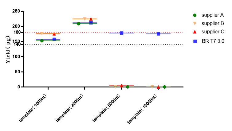 GMP-BP-E11 T7 RNA Polymerase 3.0 GMP-grade (low dsRNA): Figure 2 The transcriptional performance result of T7 RNA Polymerase 3.0 GMP-grade (low dsRNA) in templates of different lengths.