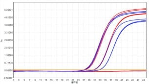 AS412-9 AcuGenix™ Lyophilization Protectant-9: Room-Temperature Accelerated Stability Test - Amplification Curves - ROX (Cat.: FM5144 Liquid Control Lyophilized Sample at…)