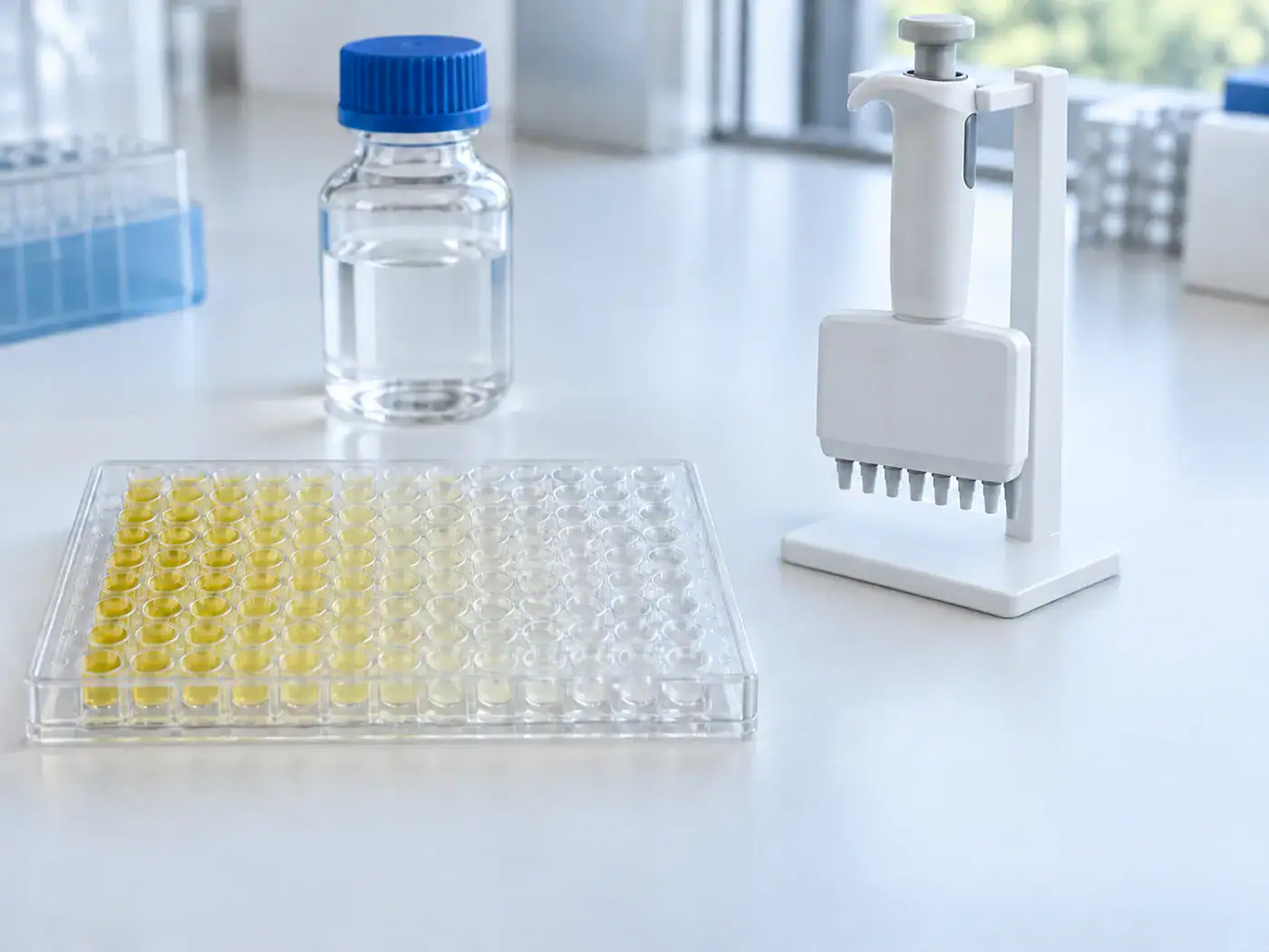 Developed ELISA microplate with colour-graded wells beside a multichannel pipette