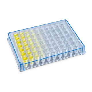 biori hcd icon plate 20260914