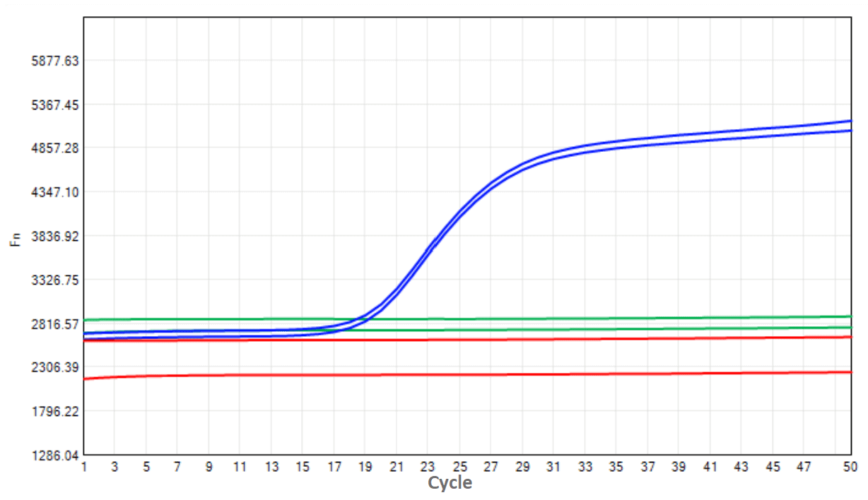 E01 AcuGenix™ Uracil-DNA Glycosylase (UNG/UDG): Digestion Activity Test - Amplification Curves - FAM (Positive control Negative control UNG with dUTP-containing template at…)