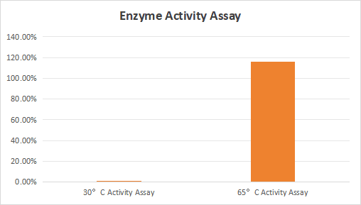 E105 AcuGenix™ Bst Hot Start DNA Polymerase-V3: Enzyme Activity Assay
