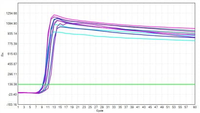 E105 AcuGenix™ Bst Hot Start DNA Polymerase-V3: Freeze-Thaw Stability Test - FAM - 0.01pg/μl (Stored at -20°C5 Freeze-Thaw Cycles10 Freeze-Thaw Cycles15 Freeze-Thaw Cycles20…)