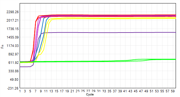 E105 AcuGenix™ Bst Hot Start DNA Polymerase-V3: High/Low Template Balance (Amplification Efficiency) - E105 - Amplification Curve (■NTC ■0.0125 ng μl ■0.025ng μl ■0.125 ng μl…)