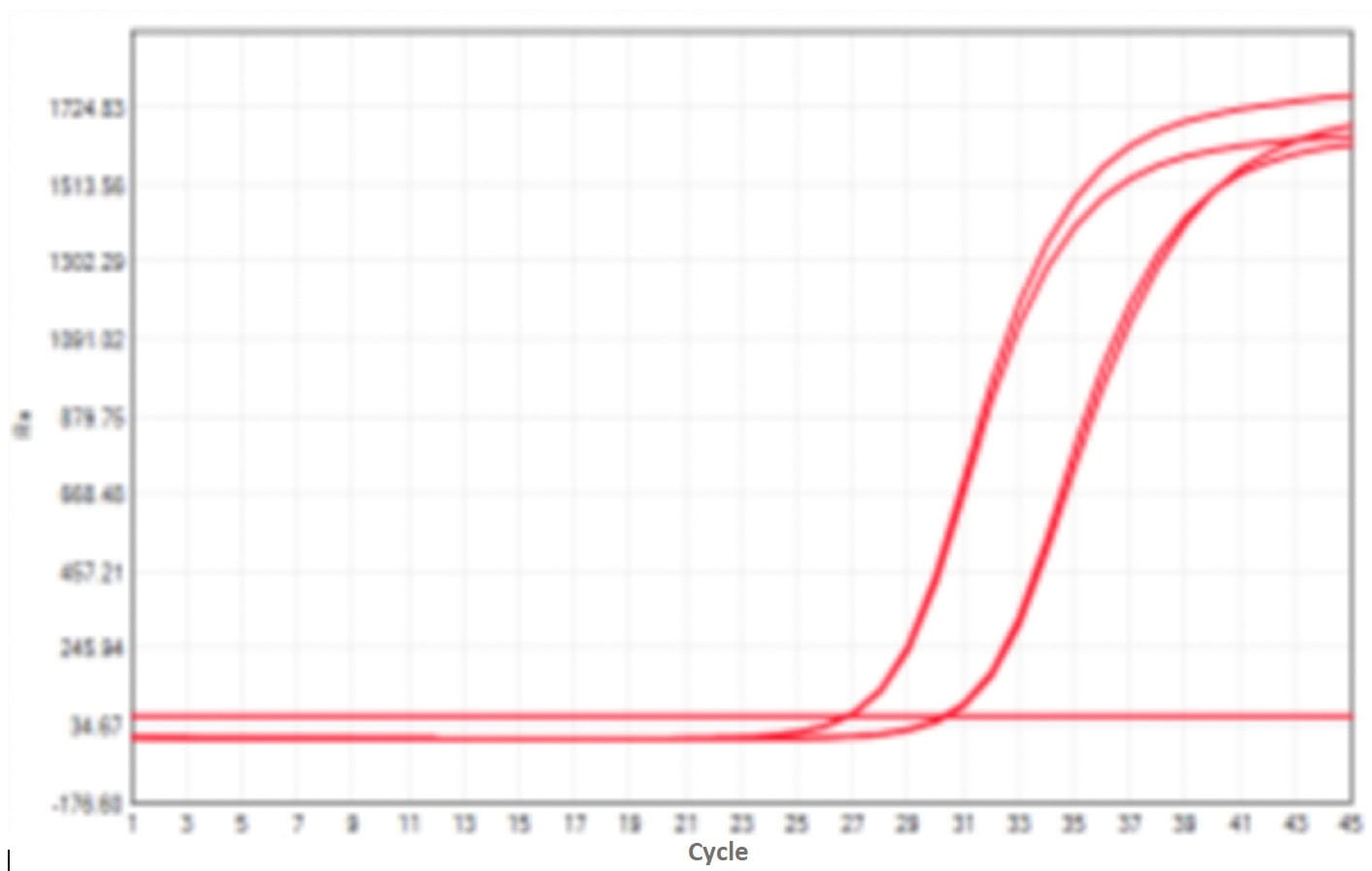 E43 Neoscript Hot Start Reverse Transcriptase-V2: Rapid PCR Program Test - Amplification Curves - CY5 (Rapid PCR Program)