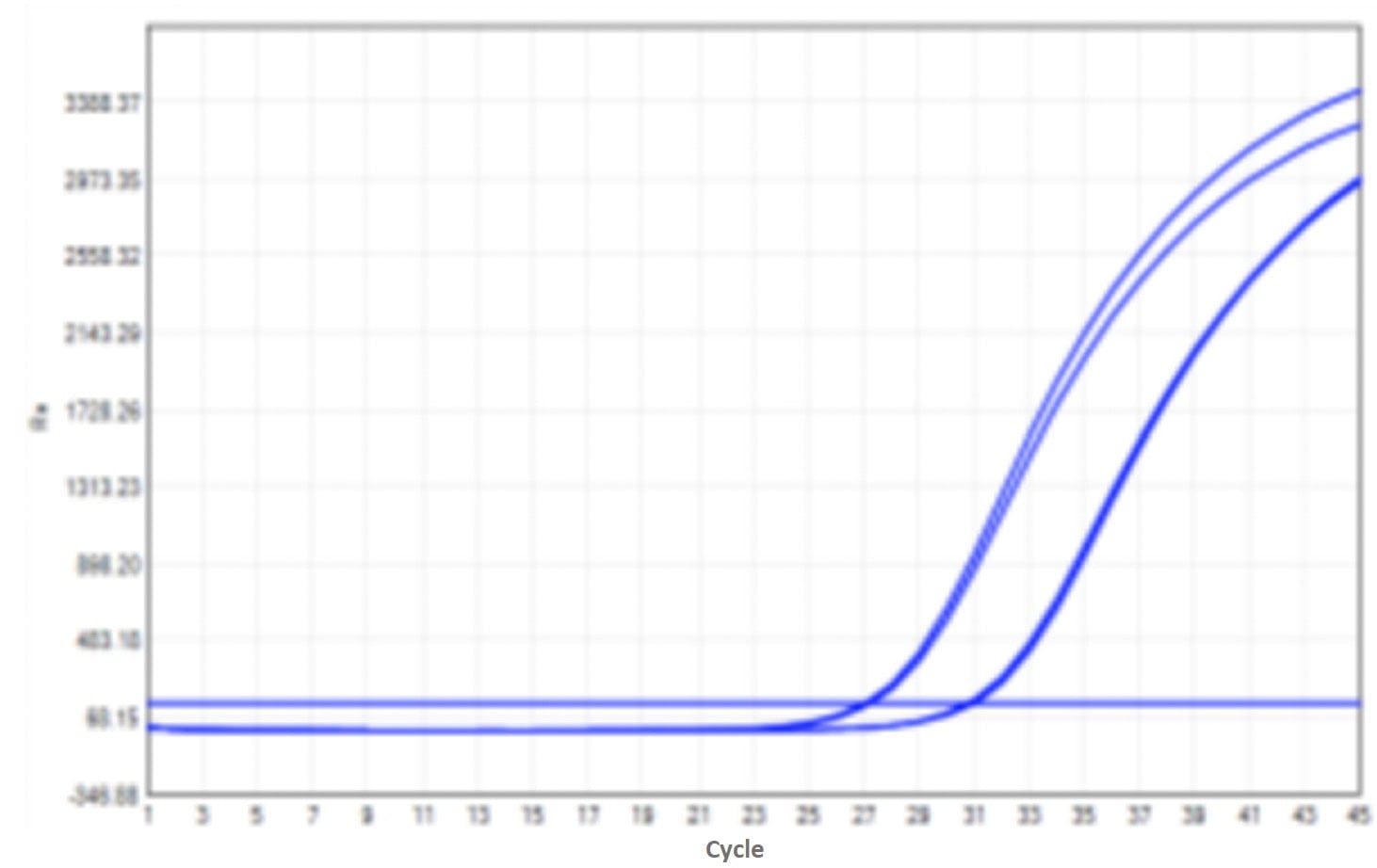E43 Neoscript Hot Start Reverse Transcriptase-V2: Rapid PCR Program Test - Amplification Curves - FAM (Rapid PCR Program)