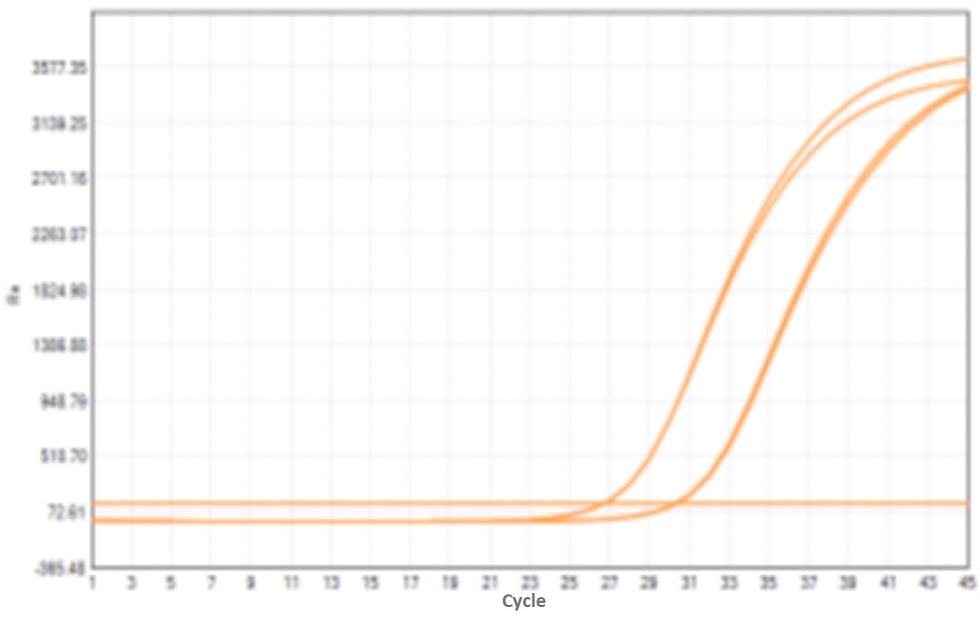 E43 Neoscript Hot Start Reverse Transcriptase-V2: Rapid PCR Program Test - Amplification Curves - ROX (Rapid PCR Program)