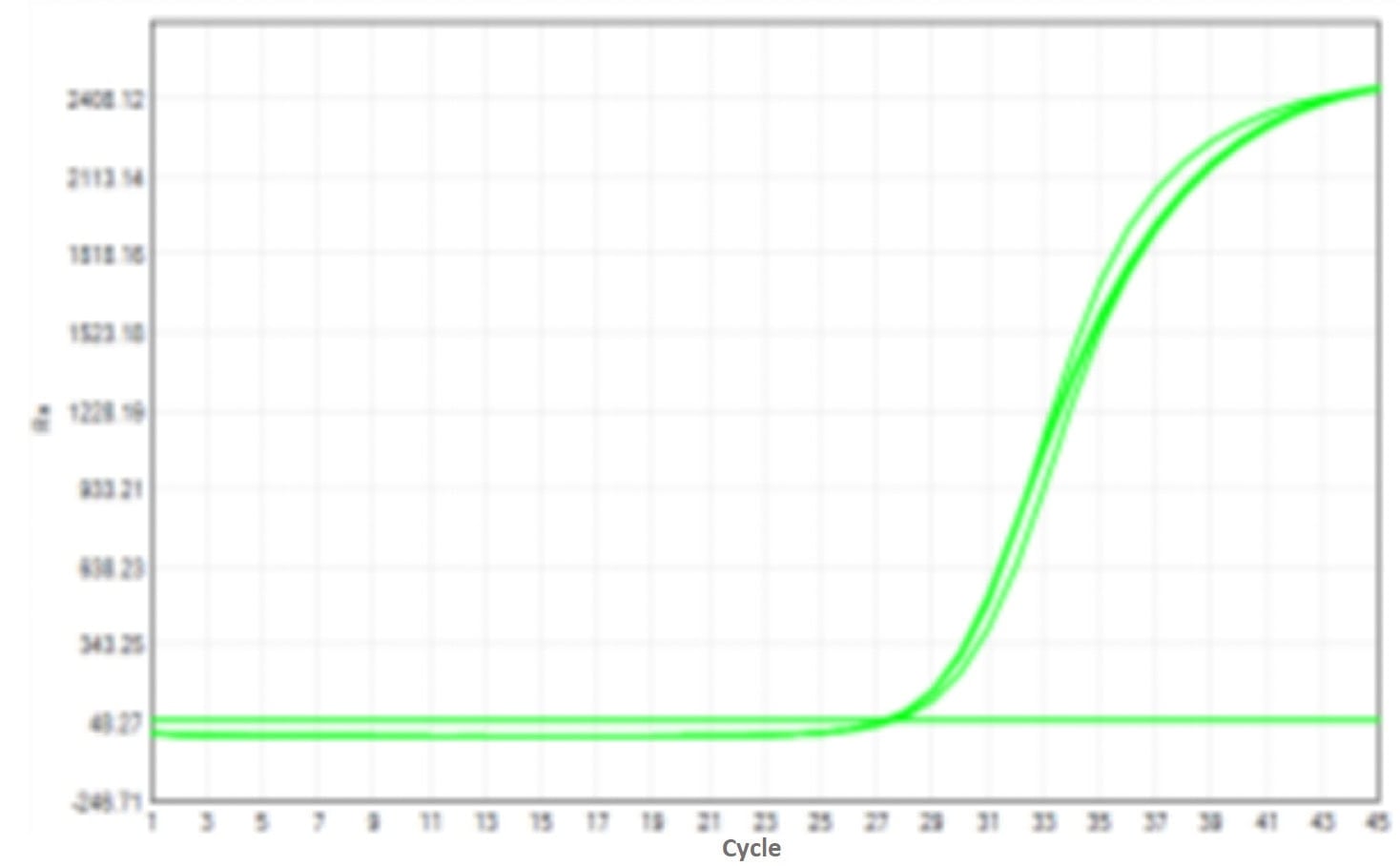E43 Neoscript Hot Start Reverse Transcriptase-V2: Rapid PCR Program Test - Amplification Curves - VIC (Rapid PCR Program)