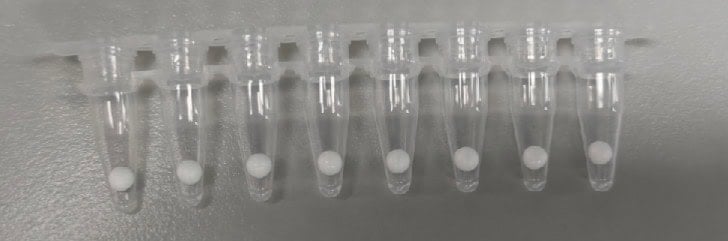 FHW1007-P01 AcuGenix™ Lyo-ready Hot Start LAMP Probe Master Mix-V2: Immediate Post-Lyophilization Test