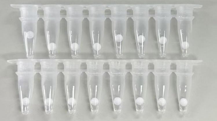 FHW1007-P01 AcuGenix™ Lyo-ready Hot Start LAMP Probe Master Mix-V2: One-Year Stability Test at Room Temperature After Lyophilization