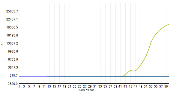 FHW1007-R02 AcuGenix™ Lyo-ready Hot Start LAMP Dye Master Mix-V2: Accelerated Stability Test - FAM - NTC (Stored at -20°C Accelerated at 37°C for 7 d Accelerated at 37°C for 14…)