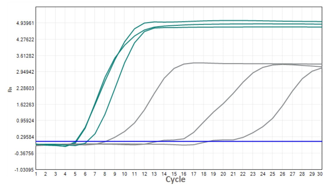 FHW1008-R02 AcuGenix™ Lyo-ready Hot Start RT-LAMP Dye Master Mix-V2: Comparison with Competitive Reagents - FAM - 10 copies/T (FHW1008-R02 Supplier A)