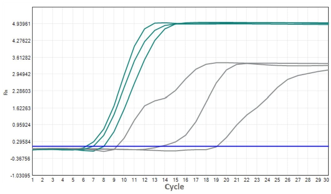 FHW1008-R02 AcuGenix™ Lyo-ready Hot Start RT-LAMP Dye Master Mix-V2: Comparison with Competitive Reagents - FAM - 5 copies/T (FHW1008-R02 Supplier A)