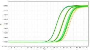 M2181-4 AcuGenix™ FastAmpli All-in-One qPCR Master Mix with UNG-V4: Accelerated Stability Test - Amplification Curves - VIC (0 Days Accelerated; 3 Days Accelerated; 7 Days…)
