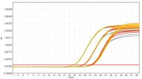 M2181-4 AcuGenix™ FastAmpli All-in-One qPCR Master Mix with UNG-V4: Freeze-Thaw Stability Test - Amplification Curves - CY5 (0 Freeze-Thaw Cycles; 5 Freeze-Thaw Cycles; 10…)