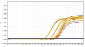 M2181-4 AcuGenix™ FastAmpli All-in-One qPCR Master Mix with UNG-V4: Freeze-Thaw Stability Test - Amplification Curves - FAM (0 Freeze-Thaw Cycles; 5 Freeze-Thaw Cycles; 10…)