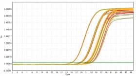 M2181-4 AcuGenix™ FastAmpli All-in-One qPCR Master Mix with UNG-V4: Freeze-Thaw Stability Test - Amplification Curves - VIC (0 Freeze-Thaw Cycles; 5 Freeze-Thaw Cycles; 10…)