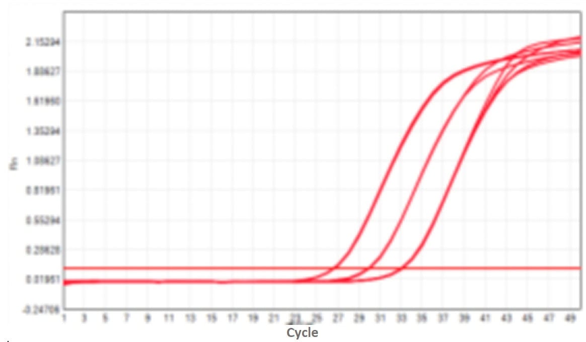 M2181-4 AcuGenix™ FastAmpli All-in-One qPCR Master Mix with UNG-V4: High- and Low-Template Balance (Amplification Efficiency) - Amplification Curves - CY5 (M2181-4- Human…)