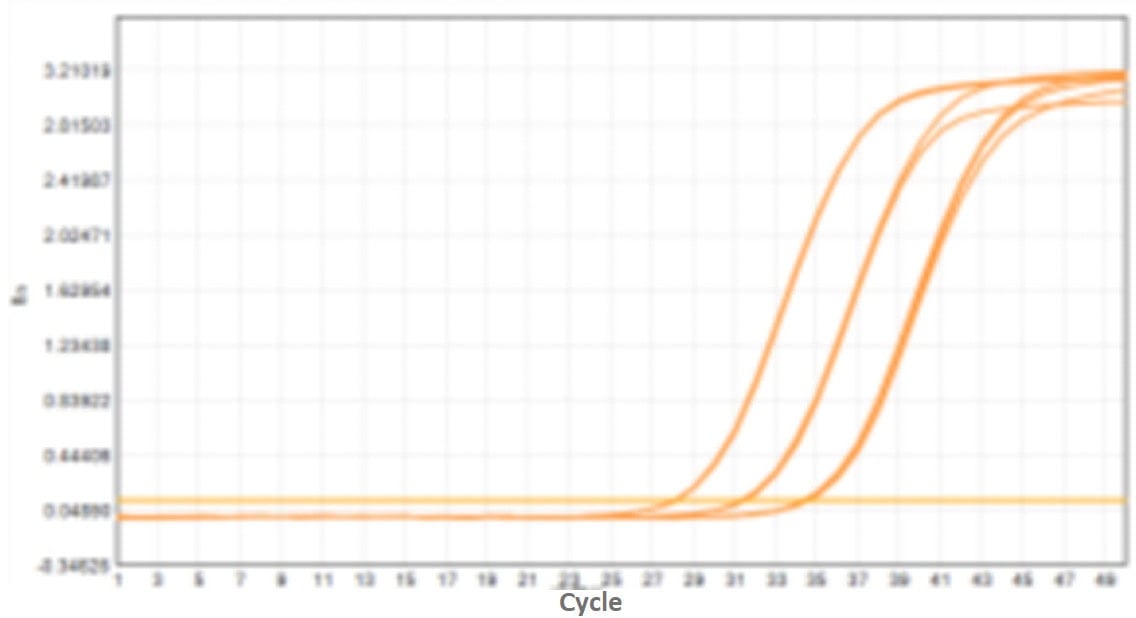 M2181-4 AcuGenix™ FastAmpli All-in-One qPCR Master Mix with UNG-V4: High- and Low-Template Balance (Amplification Efficiency) - Amplification Curves - ROX (M2181-4- Human…)