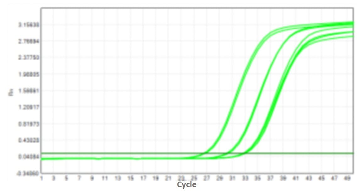 M2181-4 AcuGenix™ FastAmpli All-in-One qPCR Master Mix with UNG-V4: High- and Low-Template Balance (Amplification Efficiency) - Amplification Curves - VIC (M2181-4- Human…)