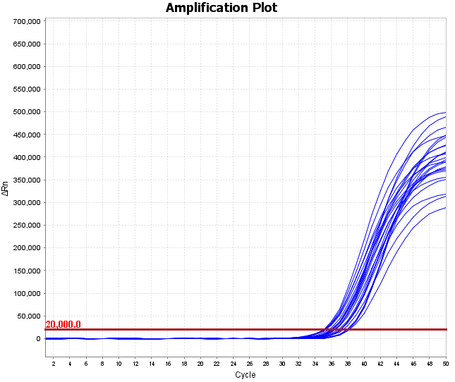 M2181-4 AcuGenix™ FastAmpli All-in-One qPCR Master Mix with UNG-V4: Sensitivity and Precision Test - Amplification Curves - FAM (Target) (M2181-4 - Low-Concentration ASFV…)