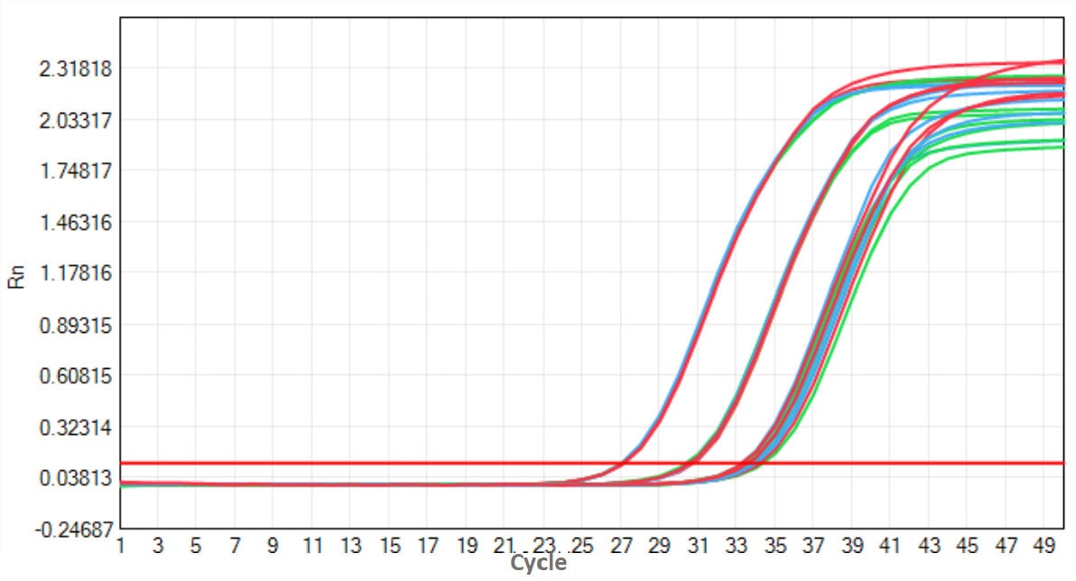 M5144 AcuGenix™ FastAmpli RT-qPCR Master Mix with UNG: Accelerated Stability Test - Amplification Curves - CY5 (M5144 System - Human Total RNA Triplex Amplification Accelerate…)