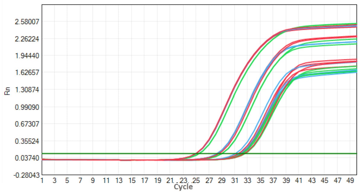 M5144 AcuGenix™ FastAmpli RT-qPCR Master Mix with UNG: Accelerated Stability Test - Amplification Curves - ROX (M5144 System - Human Total RNA Triplex Amplification Accelerate…)