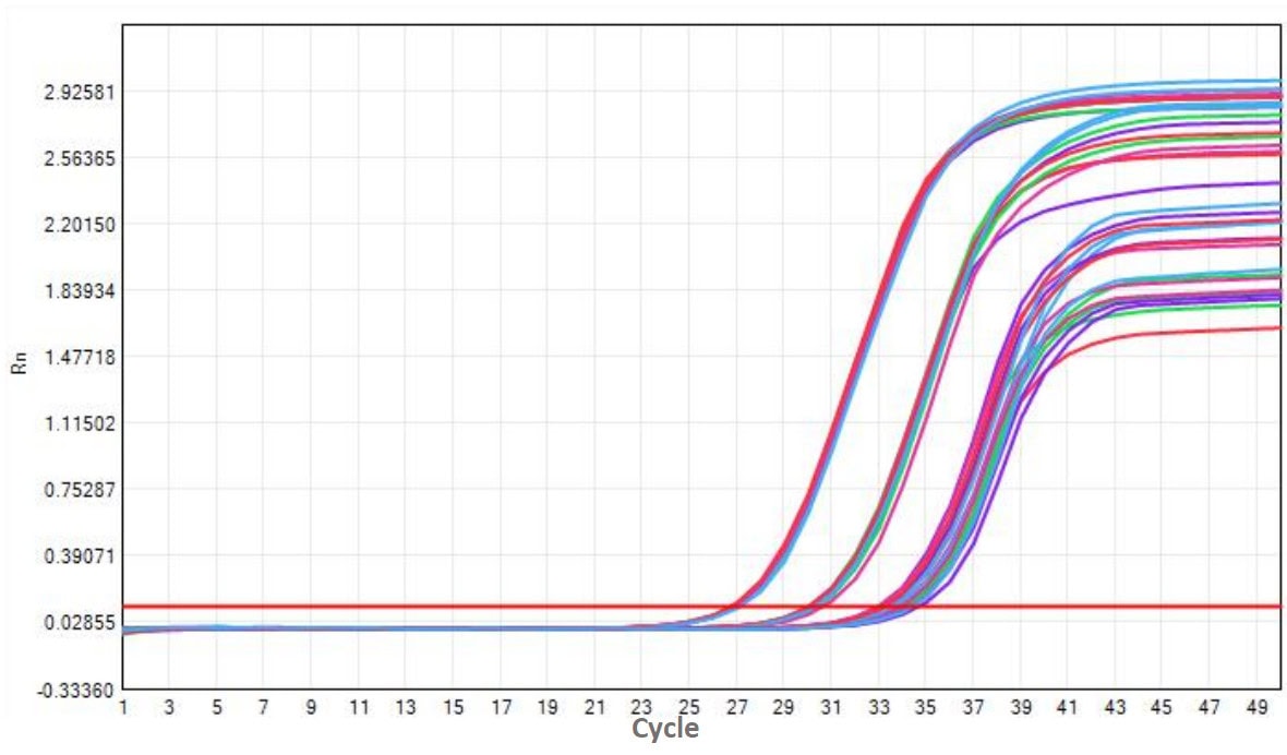M5144 AcuGenix™ FastAmpli RT-qPCR Master Mix with UNG: Freeze-Thaw Stability Test - Amplification Curves - CY5 (M5144 System - Human Total RNA 0 Freeze-Thaw Cycle 5 Freeze-Thaw…)