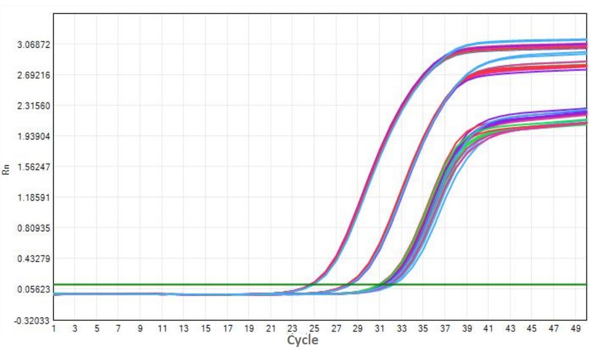 M5144 AcuGenix™ FastAmpli RT-qPCR Master Mix with UNG: Freeze-Thaw Stability Test - Amplification Curves - VIC (M5144 System - Human Total RNA 0 Freeze-Thaw Cycle 5 Freeze-Thaw…)