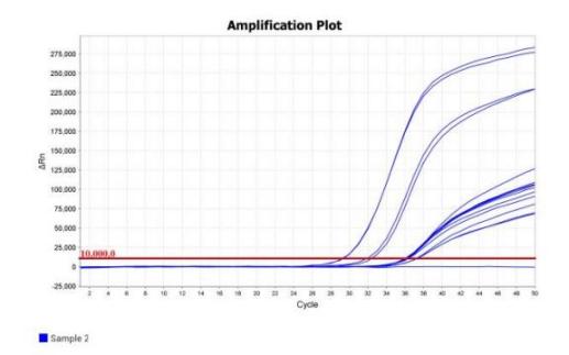 M5144 AcuGenix™ FastAmpli RT-qPCR Master Mix with UNG: Rapid Amplification Test - Amplification Curve - FAM (M5144 System Fast PCR program: 50°C 5min; 95°C 1min; 50 Cycles…)