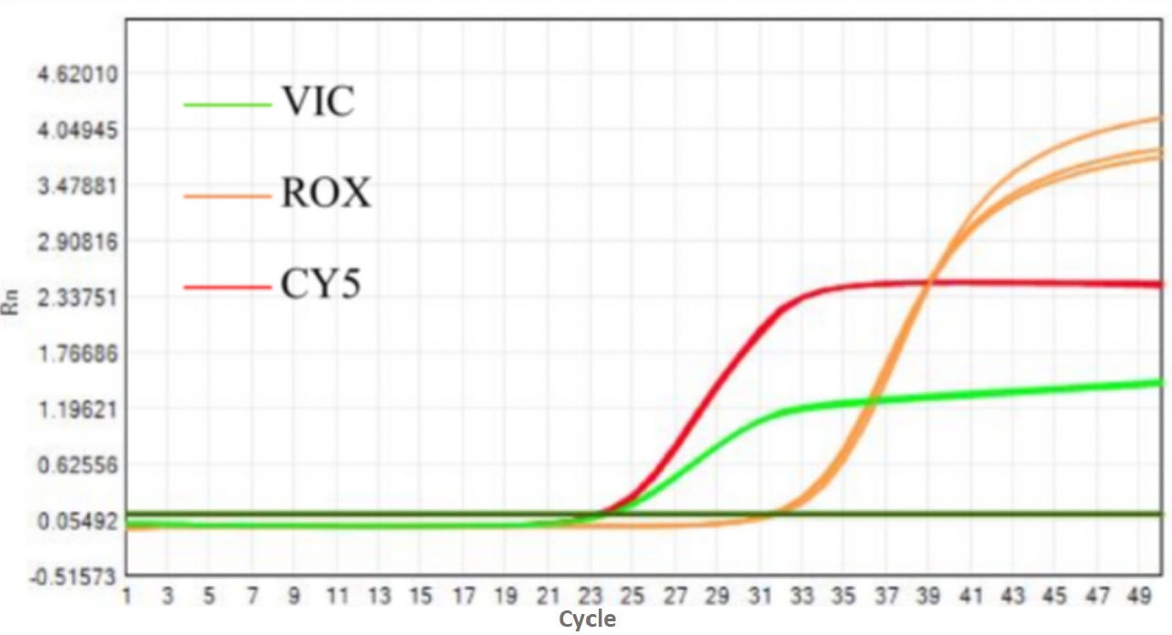 MD2084-4 AcuGenix™ Fast Direct RT-qPCR Master Mix with UNG-V4: Oral Swab Direct-Amplification Test - Amplification Curves - Sample Input: 10 μL/T (Swab each side of the inner…)