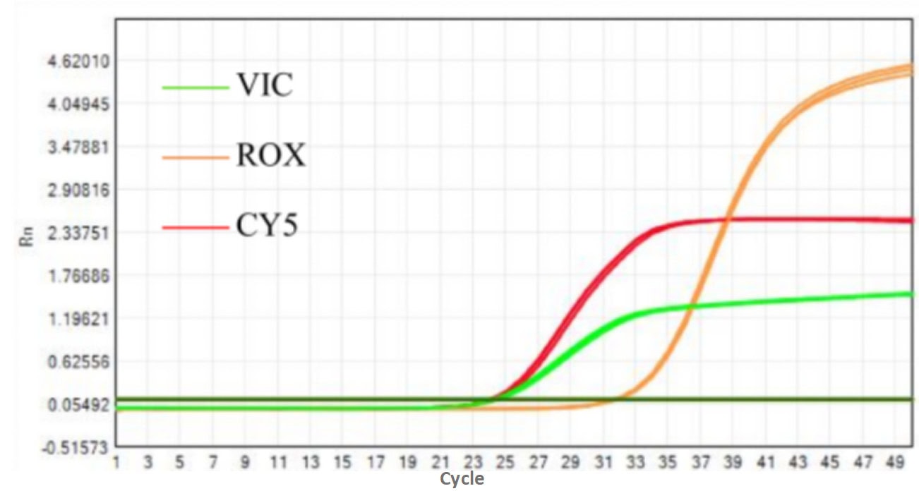 MD2084-4 AcuGenix™ Fast Direct RT-qPCR Master Mix with UNG-V4: Oral Swab Direct-Amplification Test - Amplification Curves - Sample Input: 5 μL/T (Swab each side of the inner…)