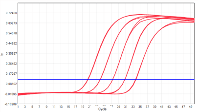 MD2091 Sensi Direct All-in-One qPCR Master Mix with UNG: High/Low Template Balance - Amplification Curves - FAM (Target) (MD2091 System - HBV Assay Amplification)