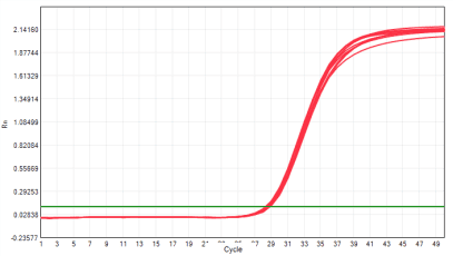 MD2091 Sensi Direct All-in-One qPCR Master Mix with UNG: High/Low Template Balance - Amplification Curves - VIC (Internal Control) (MD2091 System - HBV Assay Amplification)