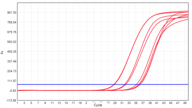 MD2091 Sensi Direct All-in-One qPCR Master Mix with UNG: Plasma and Serum Inhibitor-Tolerance Test - HBV Purified Template - FAM (Target) (MD2091 System - HBV Assay…)