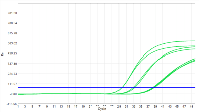 MD2091 Sensi Direct All-in-One qPCR Master Mix with UNG: Plasma and Serum Inhibitor-Tolerance Test - HBV Serum Template - FAM (Target) (MD2091 System - HBV Assay Amplification)