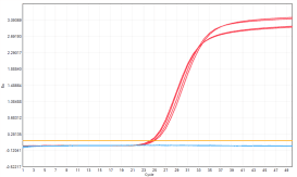 MD2091 Sensi Direct All-in-One qPCR Master Mix with UNG: Saliva Inhibitor-Tolerance Test - Amplification Curves - ROX (Conventional Product MD2091)