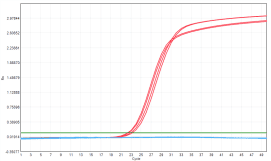 MD2091 Sensi Direct All-in-One qPCR Master Mix with UNG: Saliva Inhibitor-Tolerance Test - Amplification Curves - VIC (Conventional Product MD2091)