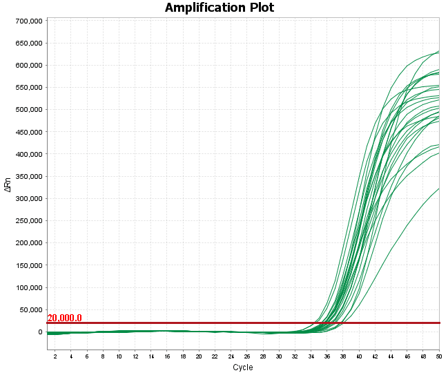 MD2091 Sensi Direct All-in-One qPCR Master Mix with UNG: Sensitivity and Precision Test - Amplification Curves - FAM (Target) (MD2091 - ASFV Assay - Low-Concentration ASFV…)
