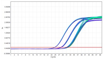 AS412-9 AcuGenix™ Lyophilization Protectant-9: Freeze-Thaw Stability Test - Amplification Curves - CY5 (— FM2181-4: 0 Freeze-Thaw Cycles — FM2181-4: 5 Freeze-Thaw Cycles —…)