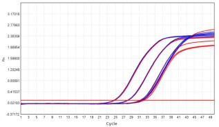 AS412-9 AcuGenix™ Lyophilization Protectant-9: High-Temperature Accelerated Stability Test - Amplification Curves - CY5 (Cat.: FM2181-4 Liquid Control Lyophilized Sample at…)