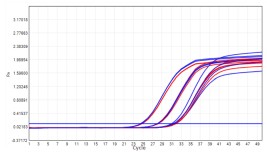 AS412-9 AcuGenix™ Lyophilization Protectant-9: High-Temperature Accelerated Stability Test - Amplification Curves - FAM (Cat.: FM2181-4 Liquid Control Lyophilized Sample at…)