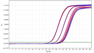AS412-9 AcuGenix™ Lyophilization Protectant-9: High-Temperature Accelerated Stability Test - Amplification Curves - VIC (Cat.: FM2181-4 Liquid Control Lyophilized Sample at…)