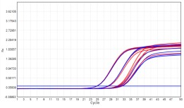 AS412-9 AcuGenix™ Lyophilization Protectant-9: Room-Temperature Accelerated Stability Test - Amplification Curves - FAM (Cat.: FM2181-4 Liquid Control Lyophilized Sample at…)