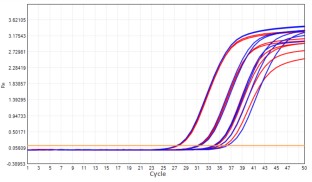 AS412-9 AcuGenix™ Lyophilization Protectant-9: Room-Temperature Accelerated Stability Test - Amplification Curves - ROX (Cat.: FM2181-4 Liquid Control Lyophilized Sample at…)