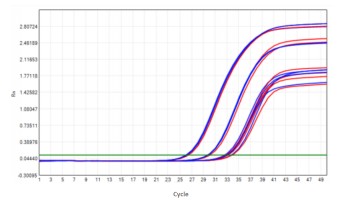 AS412-9 AcuGenix™ Lyophilization Protectant-9: Room-Temperature Accelerated Stability Test - Amplification Curves - VIC (Cat.: FM5144 Liquid Control Lyophilized Sample at…)