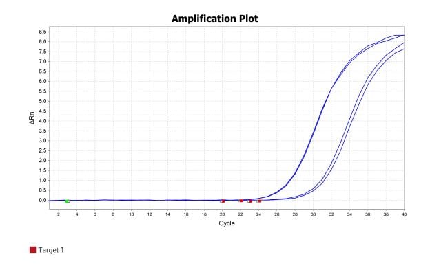 BR1F103 AcuGenix™ Neoscript Fast RT qPCR Master Mix (Universal ROX): SpoActin-2 amplification plot
