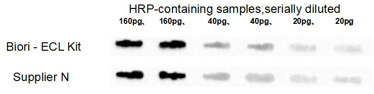 BR4D602 ECL Chemiluminescent Substrate Kit: Rapid loading detection of HRP-containing samples