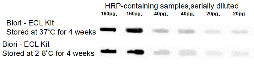 BR4D602 ECL Chemiluminescent Substrate Kit: Stability evaluation
